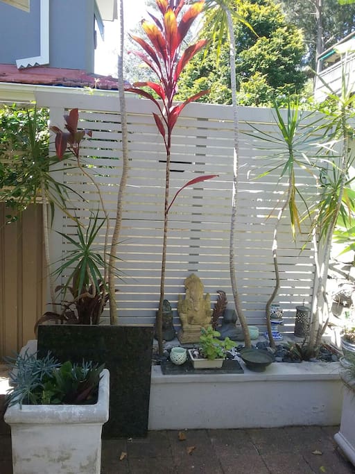 Peaceful corner of garden