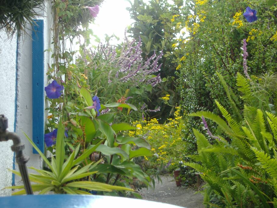 Kleiner Garten