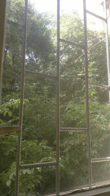View from the room to the backyard
