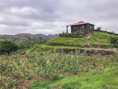 LaLuna+Hill+Farm+Udaipur+-+Peaceful+Farmstay.