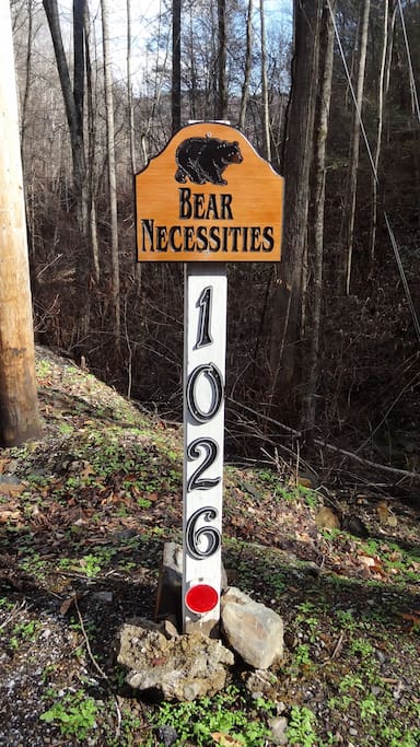 Bear Necessities is the name of our cabin. Welcome!