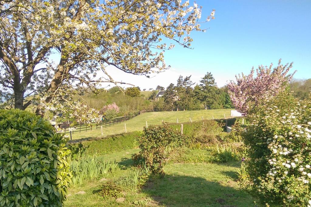 Parc arboré clos