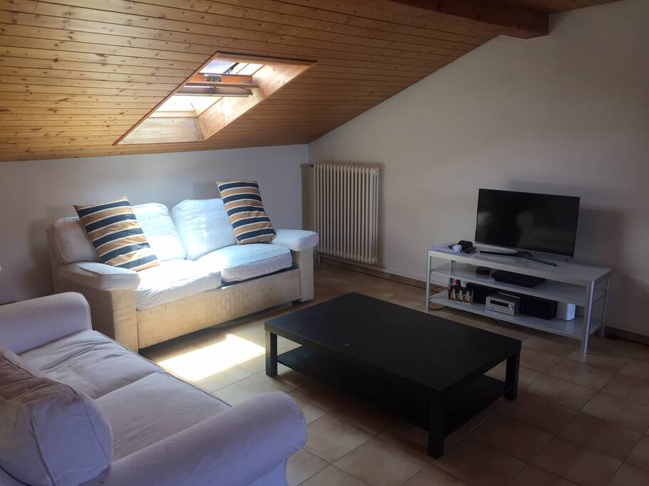 Lounge with pull out sofa bed