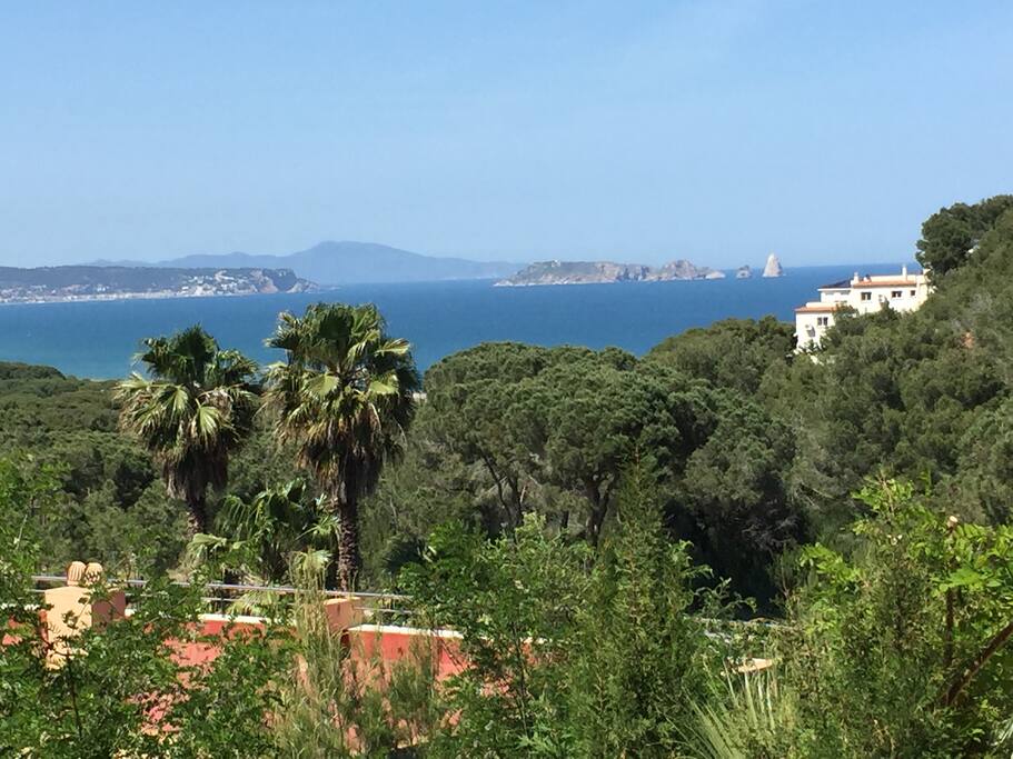 View from the terrace