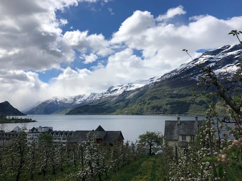 Mønsgarden orchard in Hardanger