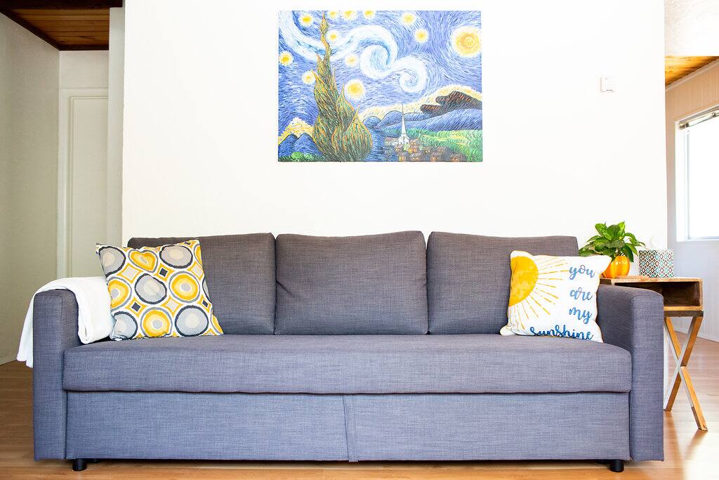 Living Room, sofa sleeper fits (2)