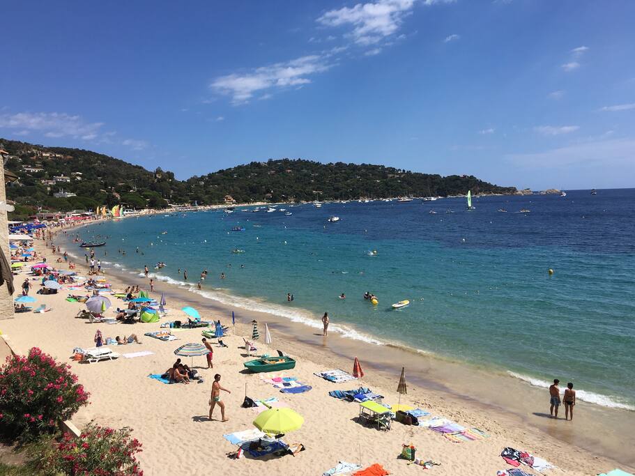 Beach in front of the residence