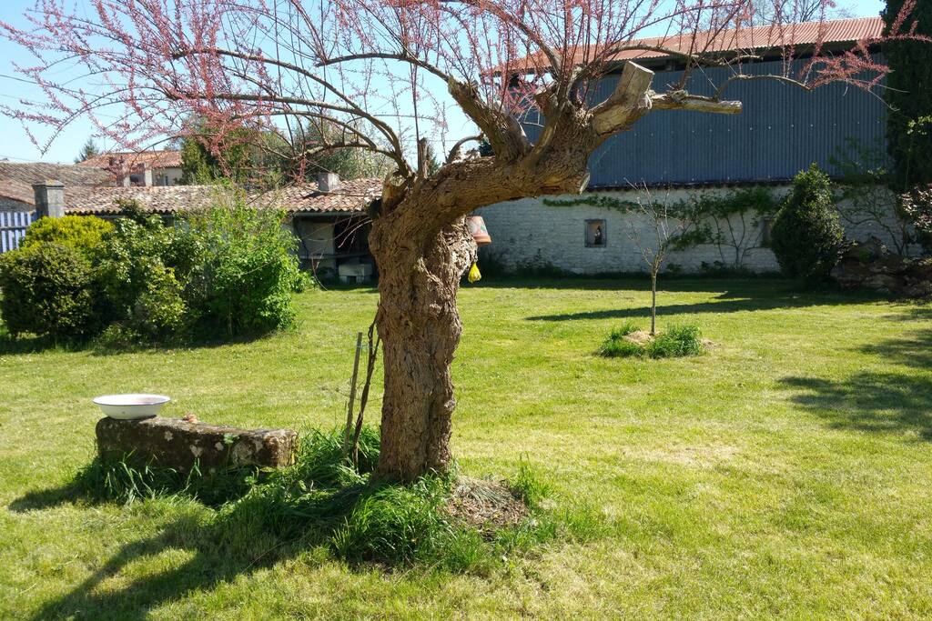 Une autre vue du jardin...