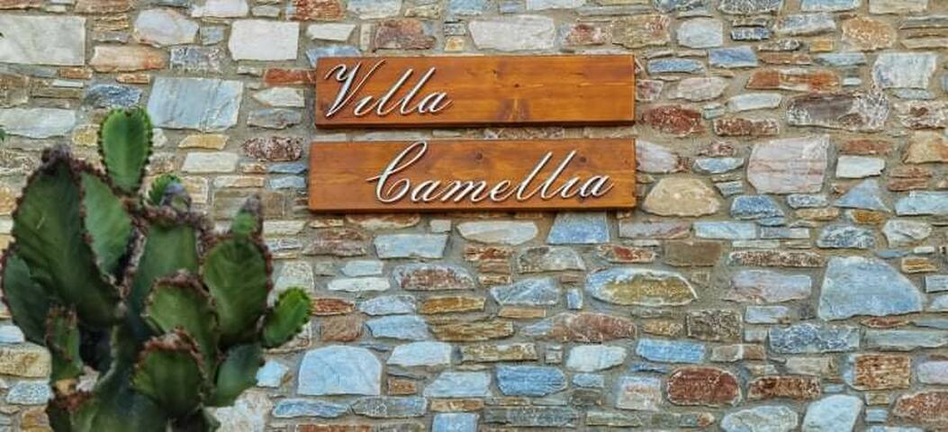 Villa Camellia gallery image 3