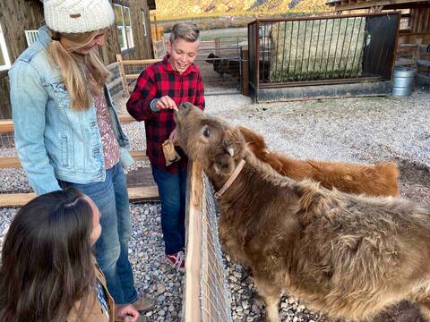 Farm House #2 -Mini Animal Farm - Highland Hotel