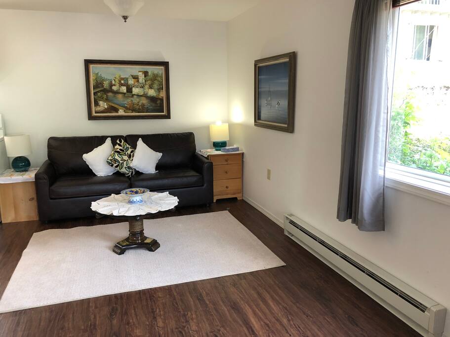 Living room w/ sofa bed