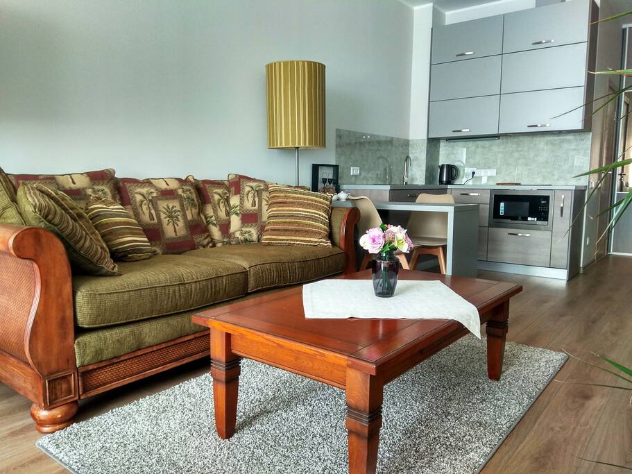 View of the sofa and kitchen space.