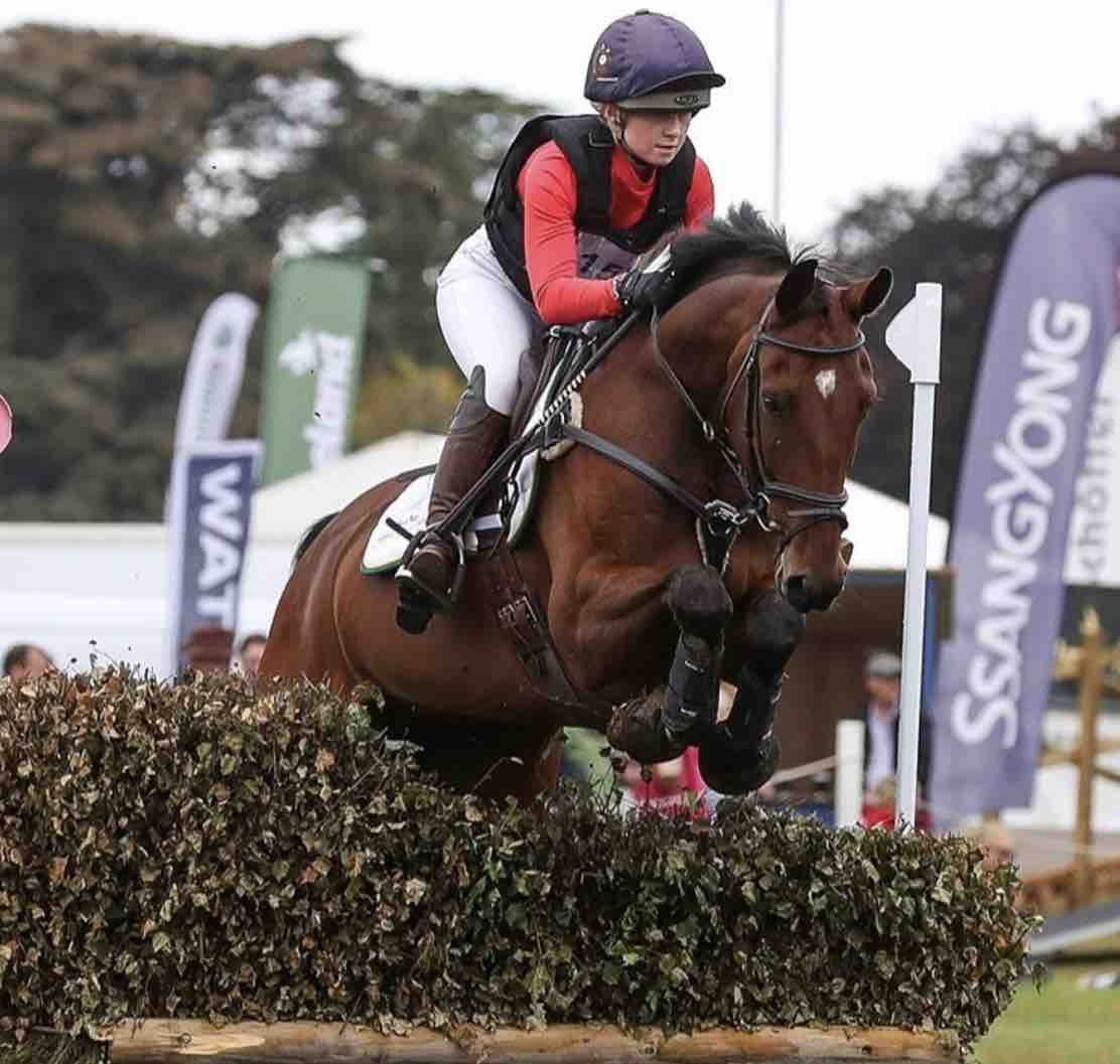 A rider in an equestrian competition is seen navigating a jump on horseback. The horse soars over a hedge-like obstacle, showcasing its agility and strength. Various colorful banners and tents are visible in the background, contributing to the event's energetic atmosphere.