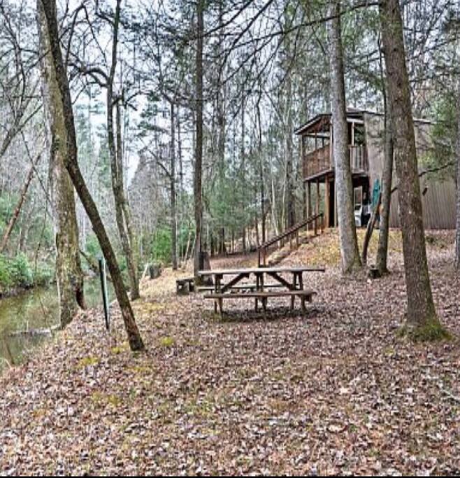 Towns creek borders our property all the way down
