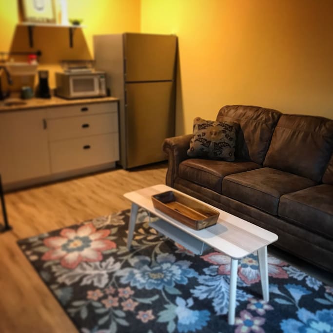 Living room and kitchenette complete with very comfortable, queen size sofa bed.