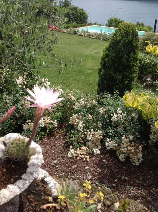 Giardino
