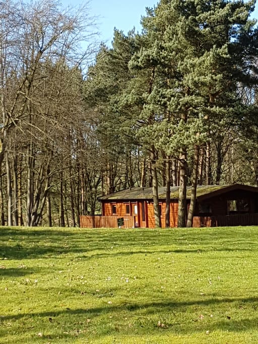 Connie Cottage