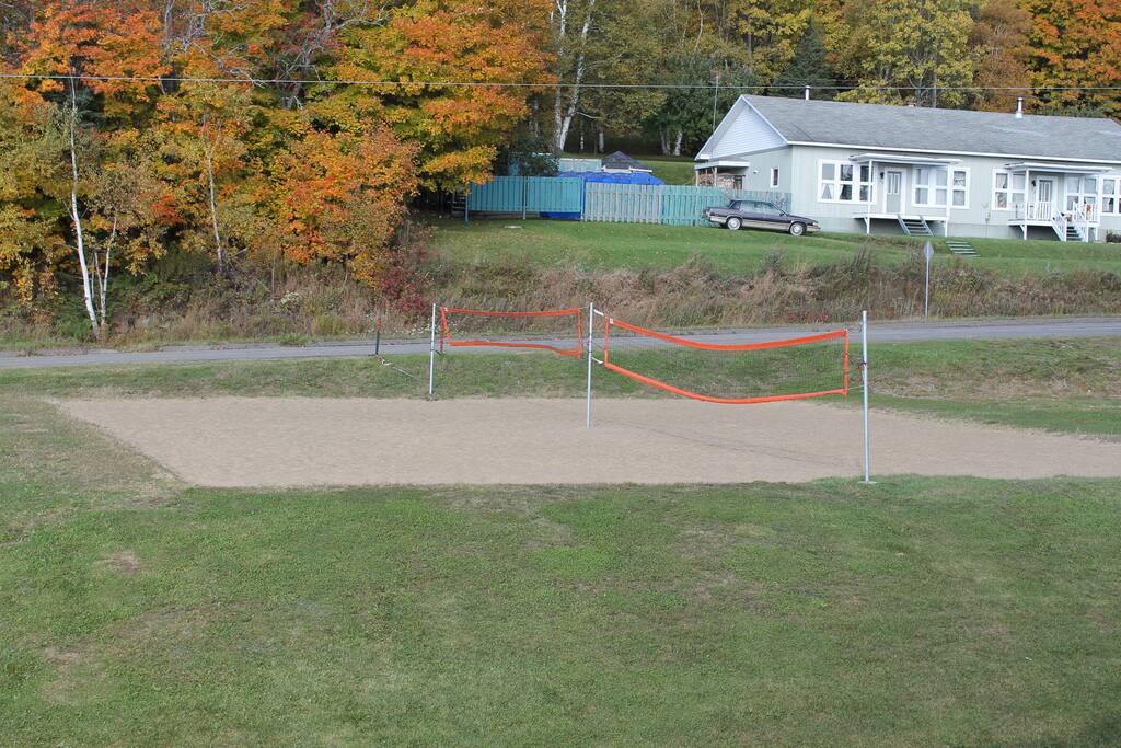 VOLEY BALL