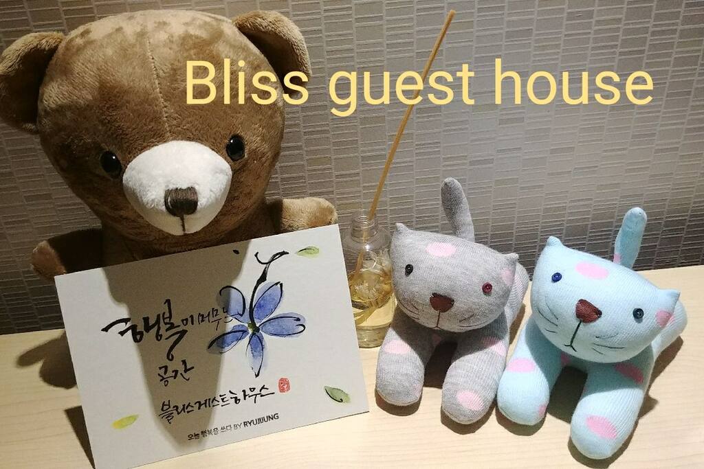블리스 하우스의 마스코트 양말로 만들어진 시크한 커플 고양이를 만나보세요~^^