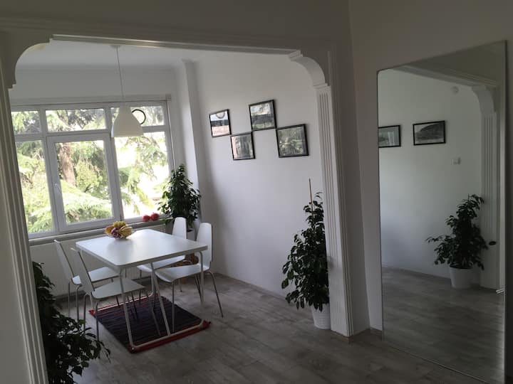 Appartement Central Avec Une Vue Sur La Mer - Istanbul