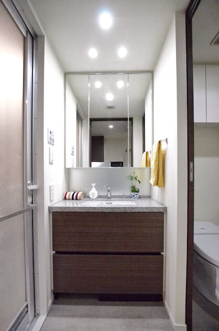 Powder area/ separate toilet and bathroom 化妆/梳洗 / 分隔厕所与浴室
