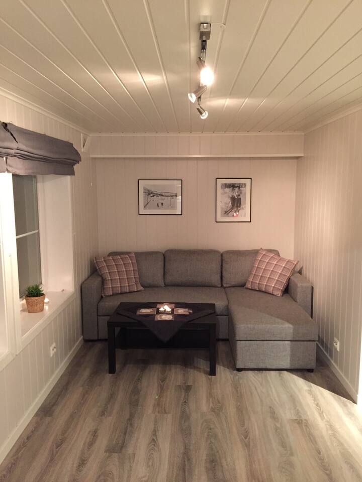 Sala de estar, sofá cama con espacio para dos.