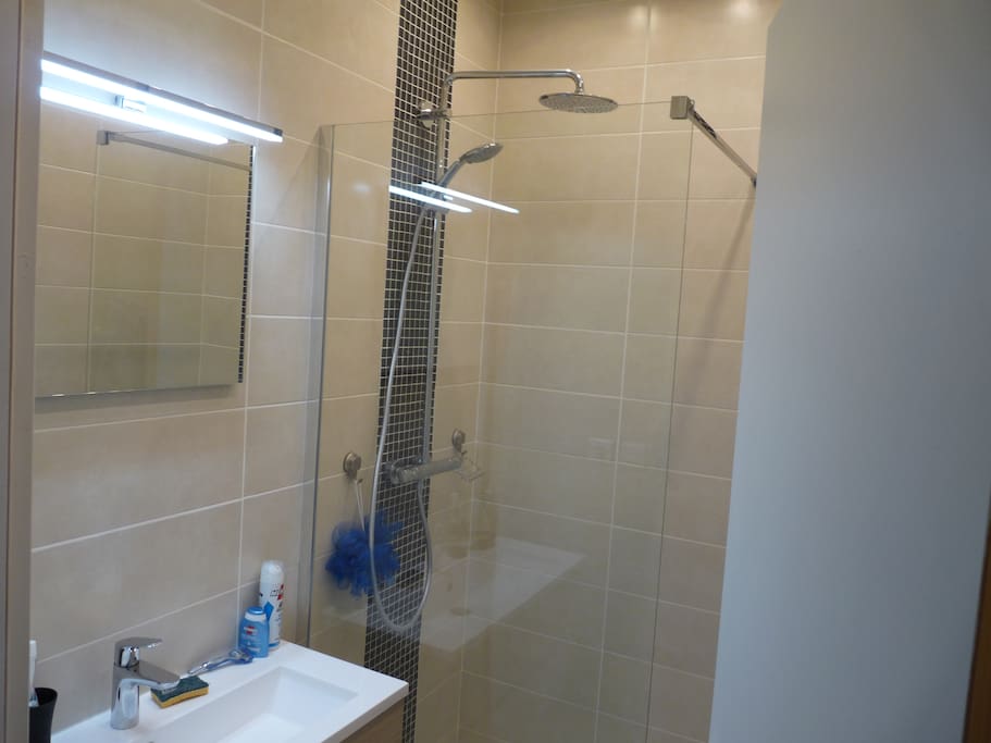 salle de douche avec douche à l'italienne