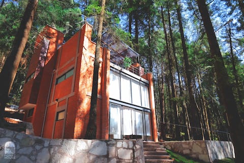 Forest House 2 Boutique Cabin