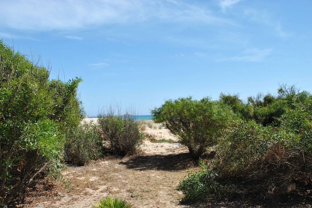 Giardino fronte mare