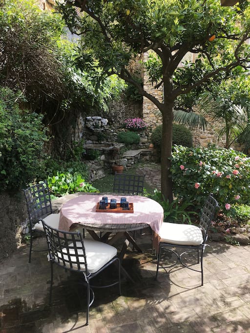 Garden delight....