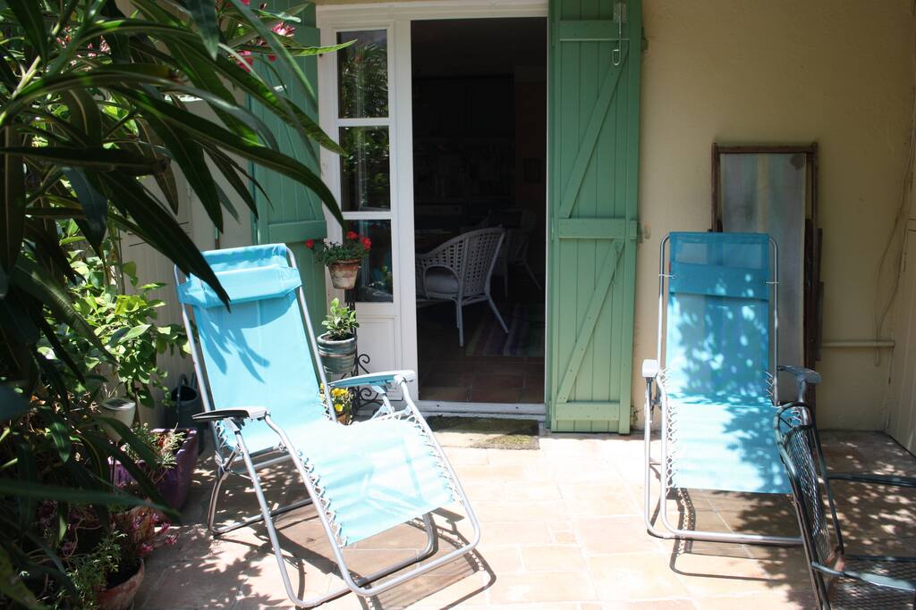 The garden