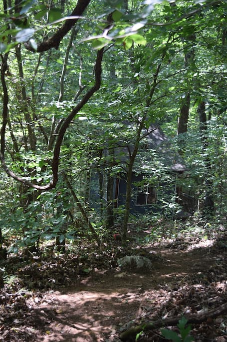 A short hike in
