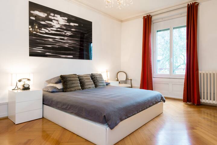 Entire Beautiful Apm’t in central Geneva (200 sqm) gallery image 5