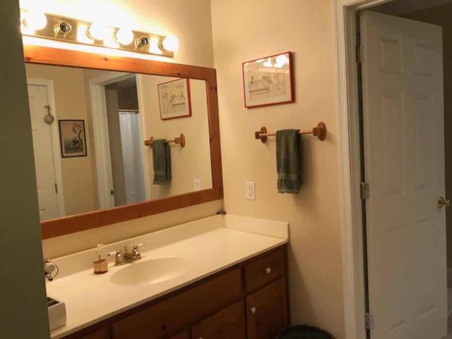 Master bath vanity