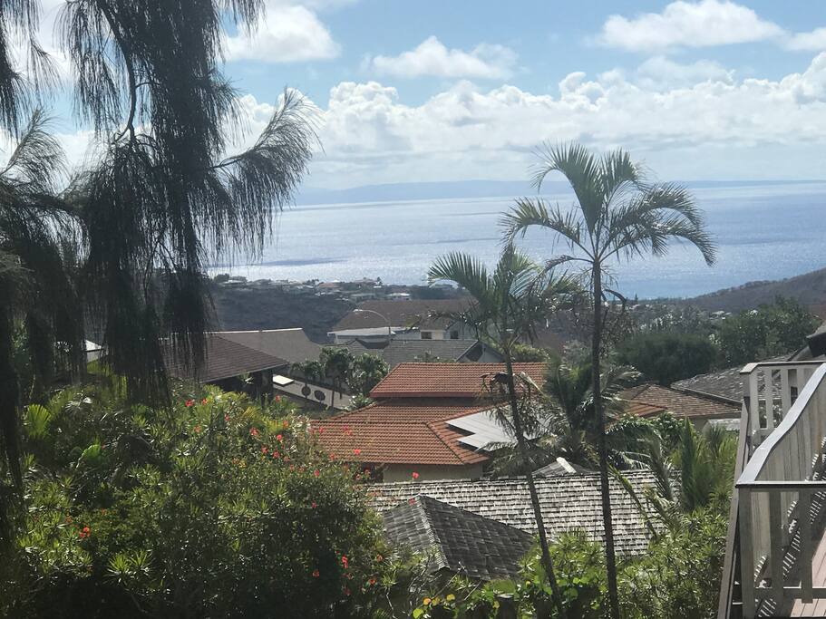View from the deck