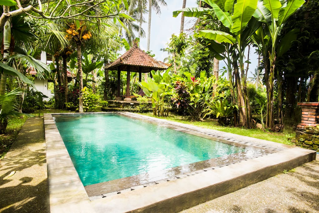 The pool