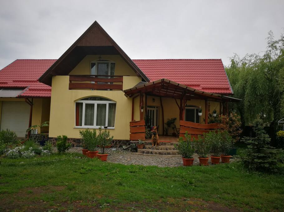 A ház