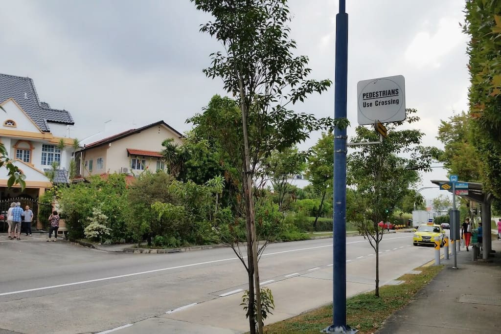 Bus stop just opposite the house