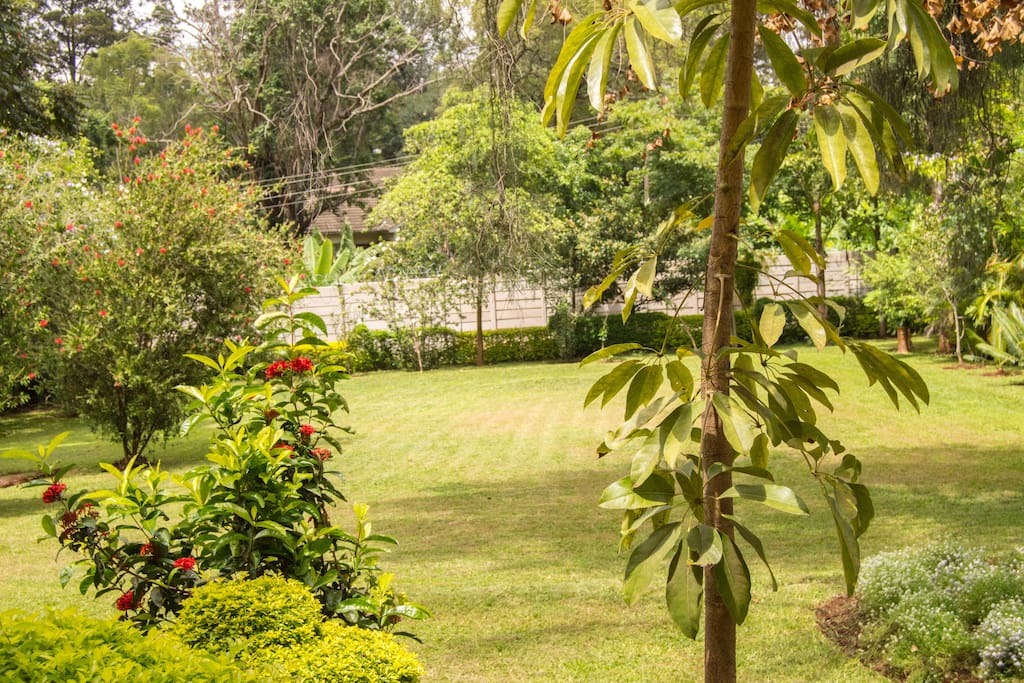 View from your bedroom window