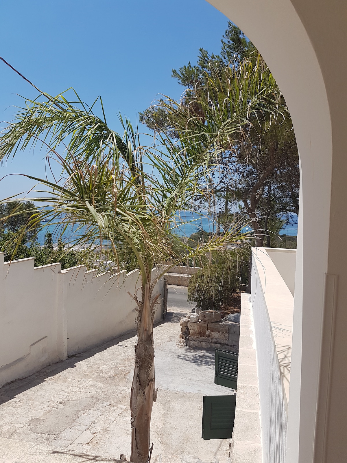 A view from an arched doorway features a palm tree in the foreground, while the coastline is visible in the distance. The pathway is lined with greenery, highlighting the outdoor space. Bright sunlight enhances the serene atmosphere of the surroundings.