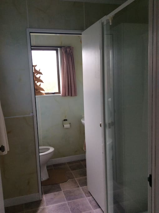 Shower and seperate toilet