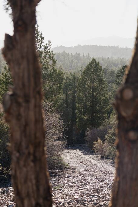 ~100 feet from the cabin is a trailhead that has a couple of options for paths through the forest. This is a view from where the Lookout Point trail ends. It is absolutely beautiful back there and it feels like your own private hiking trail – You can walk right off the back deck to this trail.