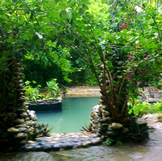 The Pool