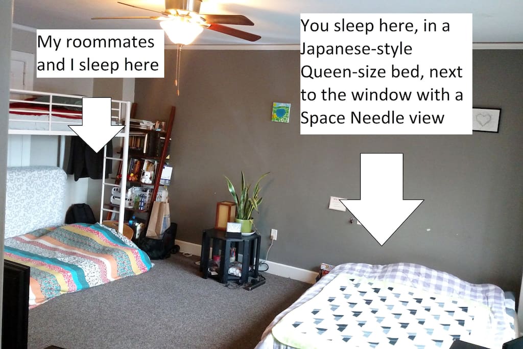Layout of the shared room