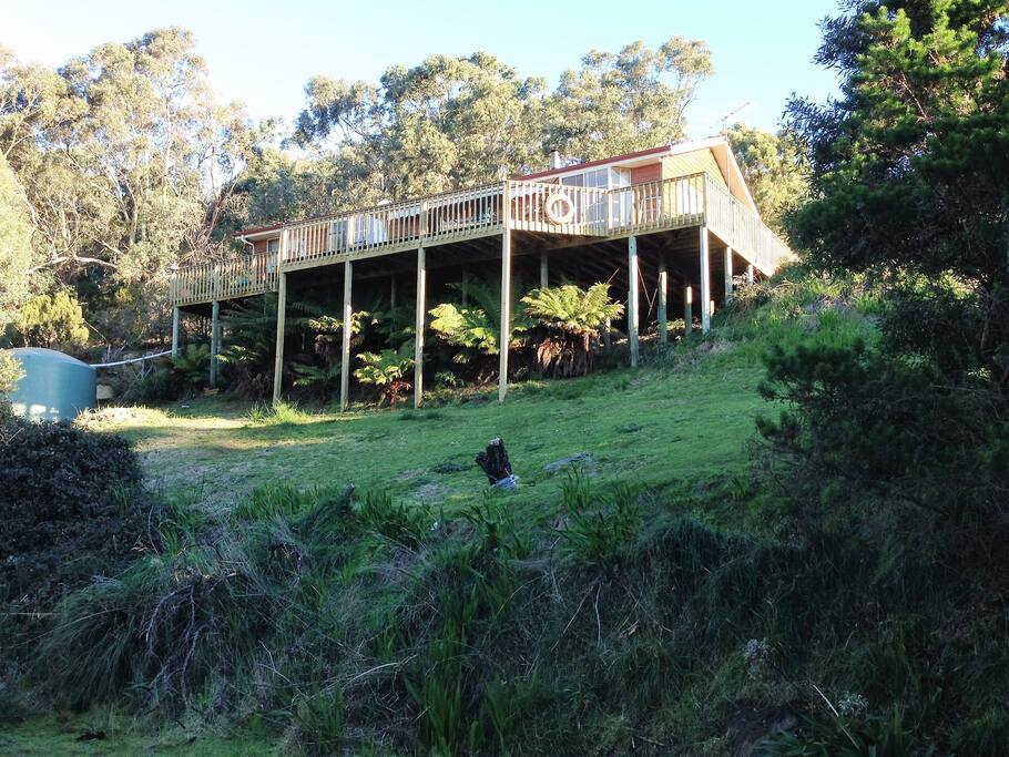 view from bottom drive