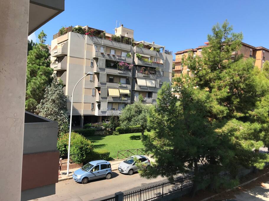 The neighborhood