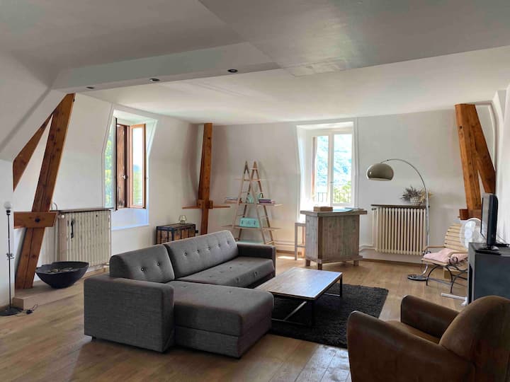 Vue Lac Vieille Ville Spacieux Appartement - Lac d'Annecy