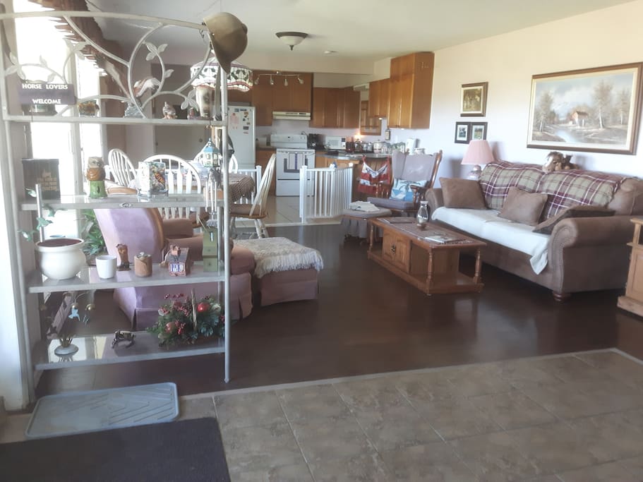 Kitchen/Living area with fireplace