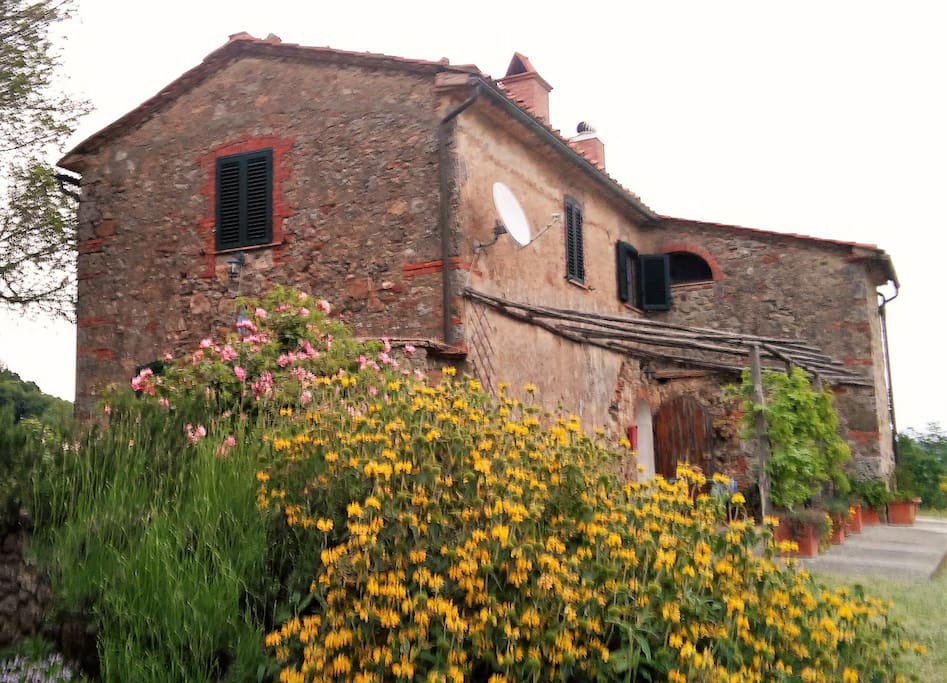 Lato sud della casa / South side of the house