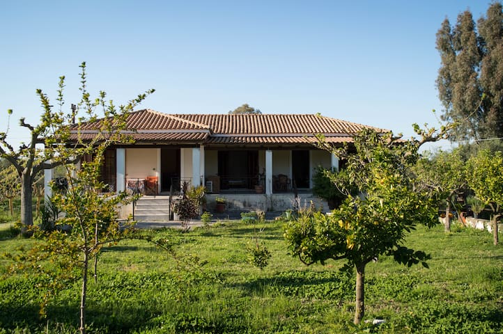 Olive Grove house Zakinthos countryside